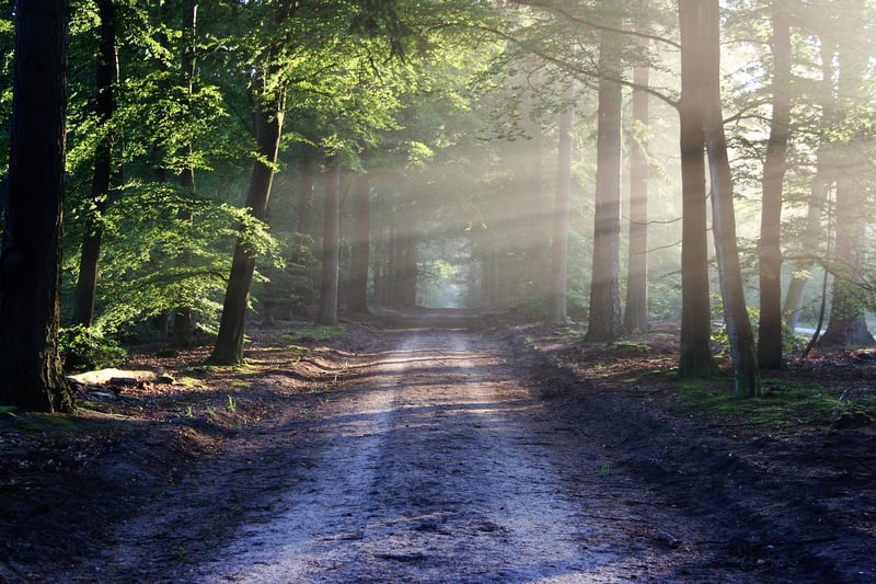 Appalachian Trail